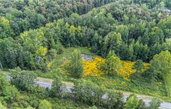 Booger Hollow Road, Dover, AR 72837