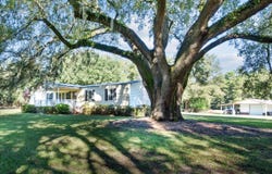 7901 Ashleigh Road, Blackville, SC 29817
