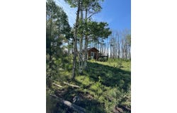 TBD TBD, Placerville, CO 81430