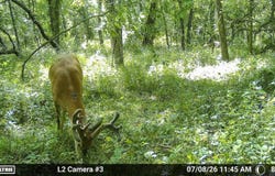 Route O, Green Castle, MO 63544