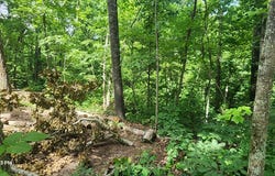 730 Lakeview Trail, HOLLADAY, TN 38341
