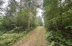 Kelly Lake Road, Barnes, WI 54873