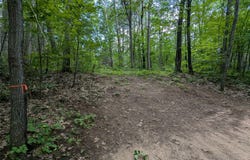 Fosmo Drive lot: 3, Webster, WI 54893