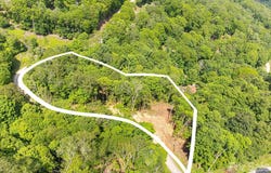 464 Mayapple Lane, Mars Hill, NC 28754