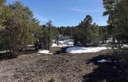 Pine Drive, Ridgway, CO 81432