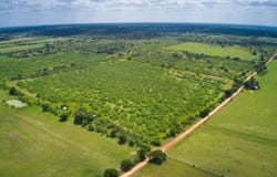 509 Sandy Lane Rd, Mason, TX 76856
