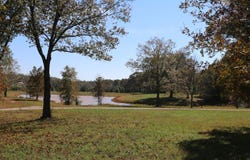 Wild Turkey Road, West Plains, MO 65775