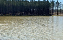 255 Waterwheel Way, Jasper, TN 37347