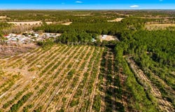 Acreage Highway 45, Loris, SC 29569