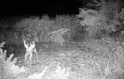 V/L E 50 N, Mill Creek, IN 46365