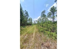 Wildcat Road, Perry, FL 32348