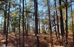 433 Thimbleberry Drive, Vass, NC 28394