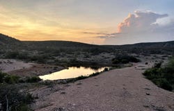 #31 Hartgrove Winters, Comstock, TX 78837