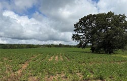 Tract 2 BCR 810, Glen Allen, MO 63751