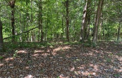TR 1A Chalcrest Way, Cave Spring, GA 30124