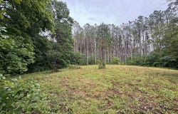 Johnson Hollow Rd, STEWART, TN 37175