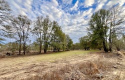 Highway 10, Pine Hill, AL 36769