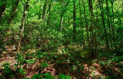 Highlands Gate Drive, Highlands, NC 28741