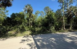 COUNTY ROAD 75, BUNNELL, FL 32110
