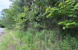 55 Badger Road, BINGHAMTON, NY 13904