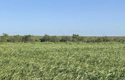 4643 County Rd 267, Snyder, TX 79549