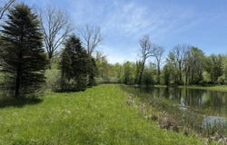 V/L McBride Road NW, Stanton, MI 48888