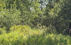 On Holmes Road, Ashland, WI 54806