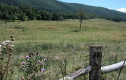 MILL GAP RD lot: 4, MONTEREY, VA 24465