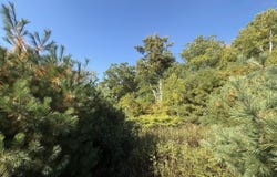 11&15 Bagaduce Lane, Sedgwick, ME 04676