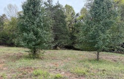 0-Lot 5 Moneta Road, Moneta, VA 24121