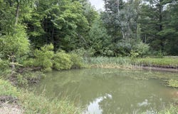 VL 5 Mile Road, Morley, MI 49336