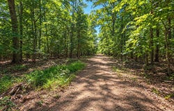 WALDORF, MD 20603