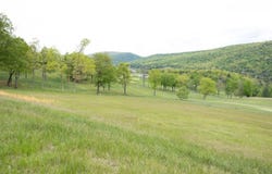 GOLF CLUB RD, FRANKLIN, WV 26807