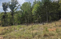 L38 B6 Old CC Road, Hardy, AR 72542