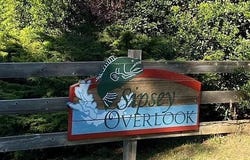 LOT 110 SIPSEY OVERLOOK Dr, Double Springs, AL 35553