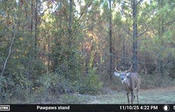 Federal Rd, Quincy, FL 32351