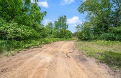 Seneca Place, Cadillac, MI 49601