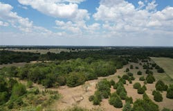 50 acres County Road 1026, Celeste, TX 75423