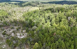 381 Preacher Road, Melbourne, AR 72556