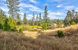 26835 State Highway 88, Pioneer, CA 95666