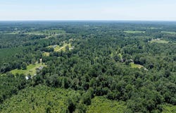DOWNSVILLE ROAD, Downsville, LA 71234