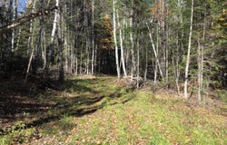 casey Road, Herseytown Twp, ME 04733