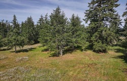405 Riverside Rd. Lot C, Sequim, WA 98382