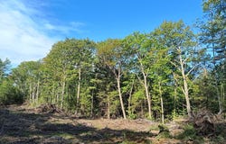 Ridge School Road, Liberty, ME 04949