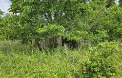 State Highway K, Everton, MO 65646