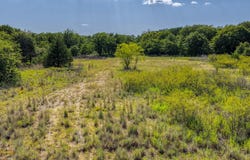 TBD 1 Timber Oaks Lane, Boyd, TX 76023
