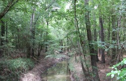 PID 69934 Duff Rd, Livingston, TX 77351
