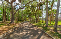 101 Bob White Court, Daytona Beach, FL 32119