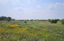 Starks Road, Mason, TX 76856