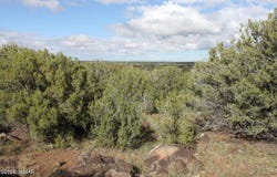 8319 Lone Pine Drive, Show Low, AZ 85901